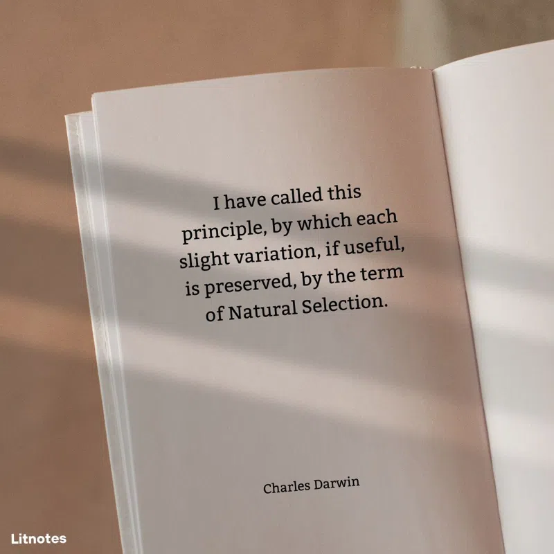 I have called this principle, by which each slight variation, if useful, is preserved, by the term of Natural Selection.